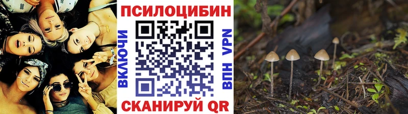 Псилоцибиновые грибы Psilocybe  Коркино 