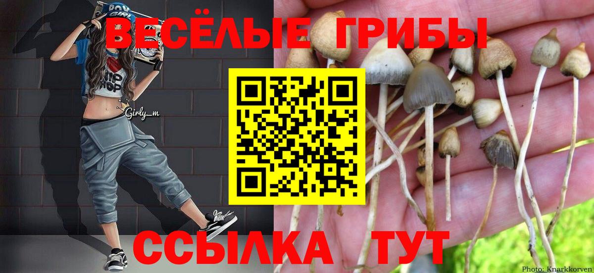 Коркино  Псилоцибиновые грибы Psilocybine cubensis  Вход с VPN 